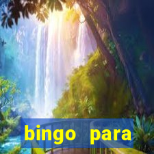 bingo para despedida de solteira para imprimir